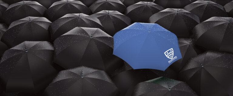 Excess Coverage above and beyond with a Personal Umbrella Policy